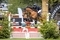 Maldon jumping star takes Hickstead title